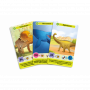 Défis Nature Junior Au temps des Dinosaures Bioviva Ikaipaka