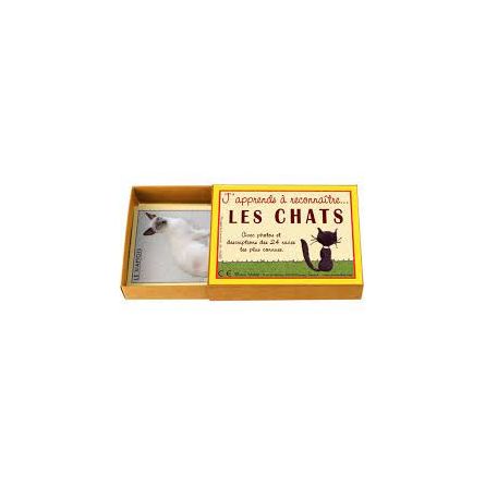 J'apprends à reconnaitre les Chats marc vidal Ikaipaka jeux &