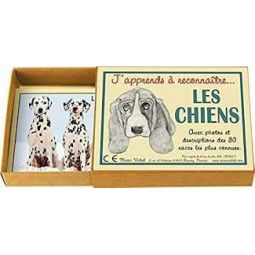 J'apprends à reconnaitre les chiens marc vidal Ikaipaka jeux &