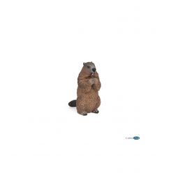 Marmotte Papo - IkaIpaka Royan