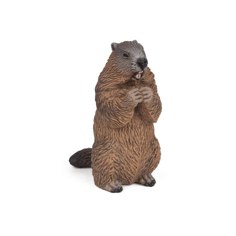 Marmotte Papo - IkaIpaka Royan