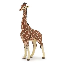 Girafe mâle PAPO - IkaIpaka Royan