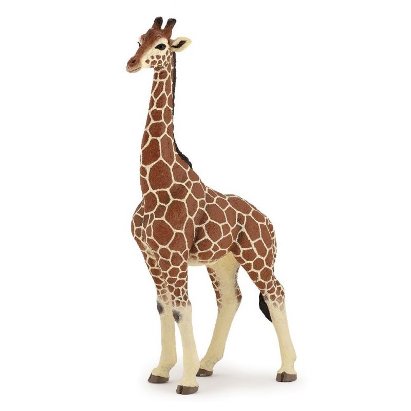 Girafe mâle PAPO - IkaIpaka Royan