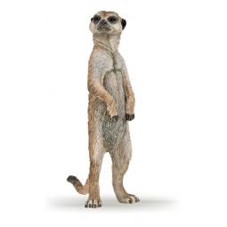 Suricate debout PAPO - IkaIpaka Royan