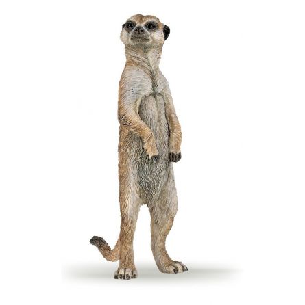 Suricate debout PAPO - IkaIpaka Royan