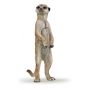 Suricate debout PAPO - IkaIpaka Royan