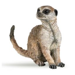 Suricate assis PAPO - IkaIpaka Royan