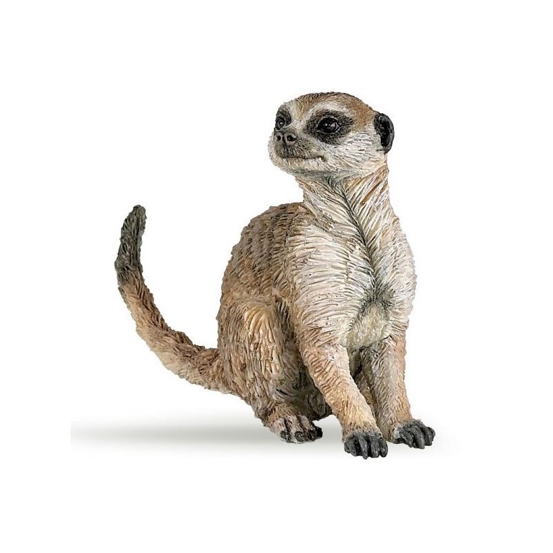 Suricate assis PAPO - IkaIpaka Royan