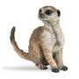 Suricate assis PAPO - IkaIpaka Royan
