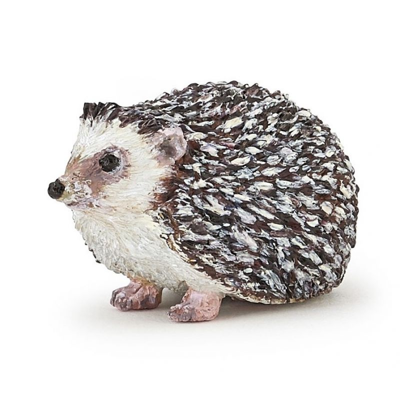 Hérisson PAPO - IkaIpaka Royan