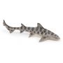Requin Léopard PAPO - IkaIpaka Royan