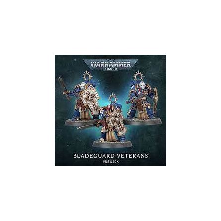 Space Marines: VÉTÉRANS BLADEGUARDS - IkaIpaka Royan