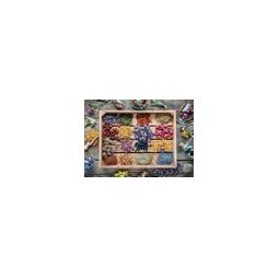 Puzzle 1000 p Fleurs sechées Piatnik Ikaipaka jeux & jouets