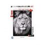 Puzzle 1000p Portrait Royal Lion Ravensburger Ikaipaka jeux &
