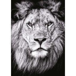 Puzzle 1000p Portrait Royal Lion Ravensburger Ikaipaka jeux &