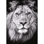 Puzzle 1000p Portrait Royal Lion Ravensburger Ikaipaka jeux &