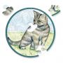 Puzzle 33p Mini Chat Curiosi - IkaIpaka Royan