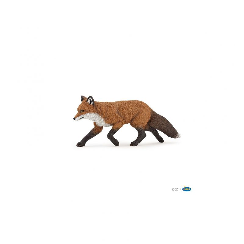 Renard Papo - IkaIpaka Royan