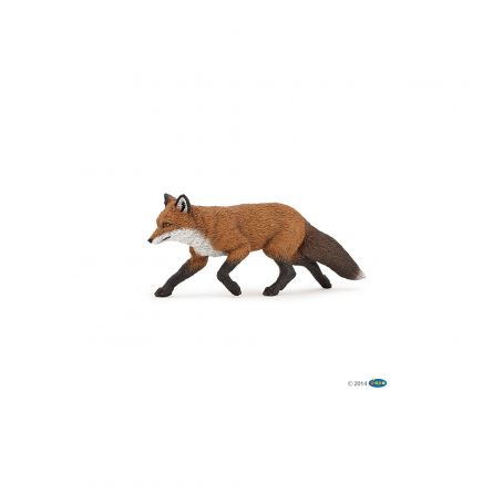 Renard Papo - IkaIpaka Royan