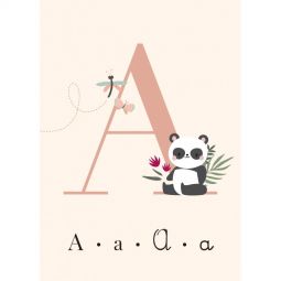 Mes premières cartes - L'alphabet Sassi Ikaipaka jeux & jouets
