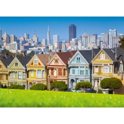 Puzzle 3000p San Francisco Painted Ladies BlueBird Ikaipaka