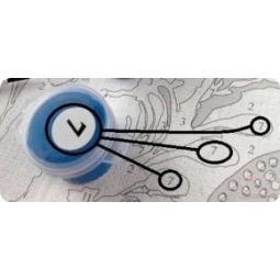 Peinture aux numéros Lion Abstrait Pintar Numeros Ikaipaka jeux