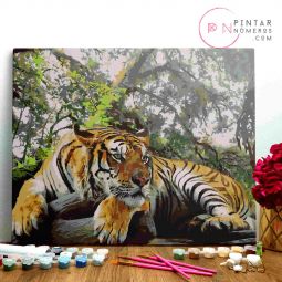 Peinture aux numéros Tigre se reposant Pintar Numeros Ikaipaka