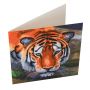 Crystal Art Tigre Oz Ikaipaka jeux & jouets Royan