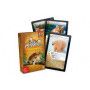 Défis Nature Bioviva Ikaipaka jeux & jouets Royan