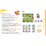 Roule ma poule AUZOU Ikaipaka jeux & jouets Royan