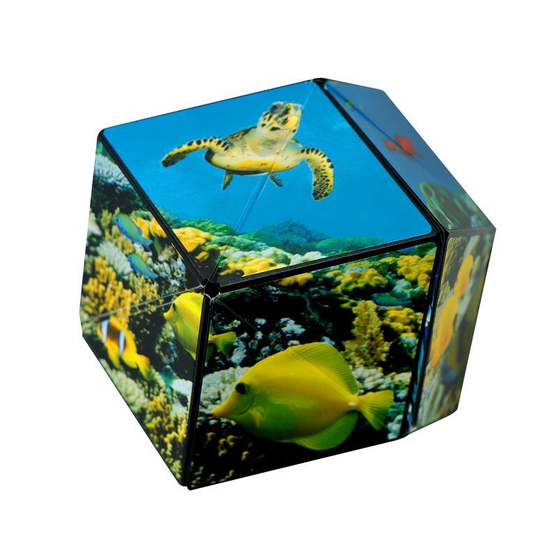 Shashibo Ocean  Ikaipaka jeux & jouets Royan