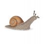 Escargot Papo Papo Ikaipaka jeux & jouets Royan