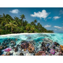 Puzzle 2000p Une Plongée aux Maldives Ravensburger Ikaipaka