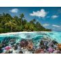 Puzzle 2000p Une Plongée aux Maldives Ravensburger Ikaipaka