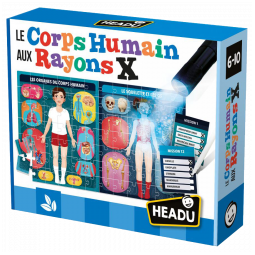 Le Corps Humain Aux Rayons X  Ikaipaka jeux & jouets Royan