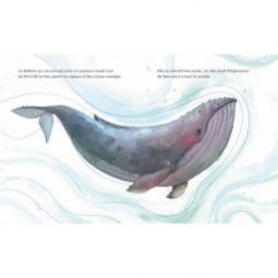 Livre La baleine qui se prenait pour un poisson Sassi Ikaipaka