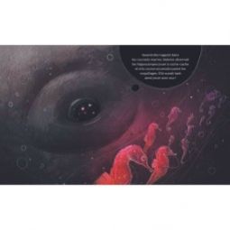 Livre La baleine qui se prenait pour un poisson Sassi Ikaipaka