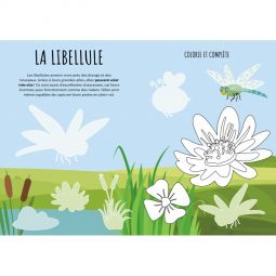 Livre Stickers et Activités Le Jardin Sassi Ikaipaka jeux &