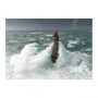 Puzzle 1000p Phare de la Jument Bretagne Sentosphere Ikaipaka