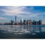 Puzzle 2000p New York BlueBird Ikaipaka jeux & jouets Royan