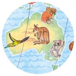 Puzzle Observation 100p Animaux du monde Djeco Ikaipaka jeux &