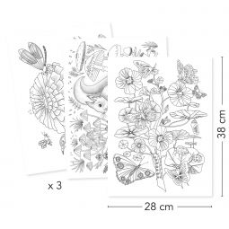 Poster à Colorier Naturaliste Djeco Ikaipaka jeux & jouets Royan
