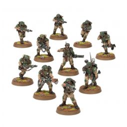 Warhammer TROUPES DE CHOC CADIENNES Warhammer Ikaipaka jeux &
