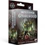 WHU: COURLOUF DE GRINKRAK (looncourt) Warhammer Ikaipaka jeux &