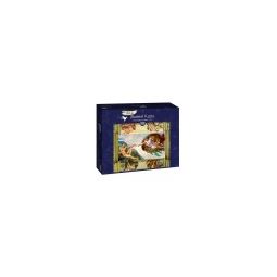 Puzzle 1000p Michelangelo - The Creation of Adam, 1511 