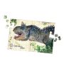 Puzzle 3X200p Dinosaures Vilac VILAC Ikaipaka jeux & jouets