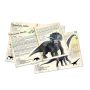 Puzzle 3X200p Dinosaures Vilac VILAC Ikaipaka jeux & jouets