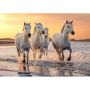 Puzzle 500P XL Chevaux en Camargue Sentosphere Ikaipaka jeux &