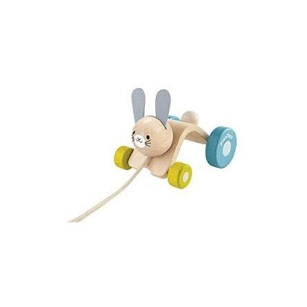 Lapin sautillant - IkaIpaka Royan