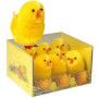 Poussins en chenille 3,5 cm - IkaIpaka Royan